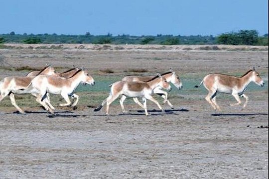 Tour image 1