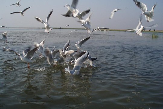 Tour image 6