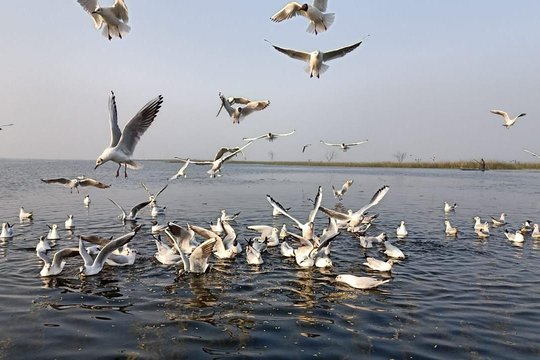 Tour image 8