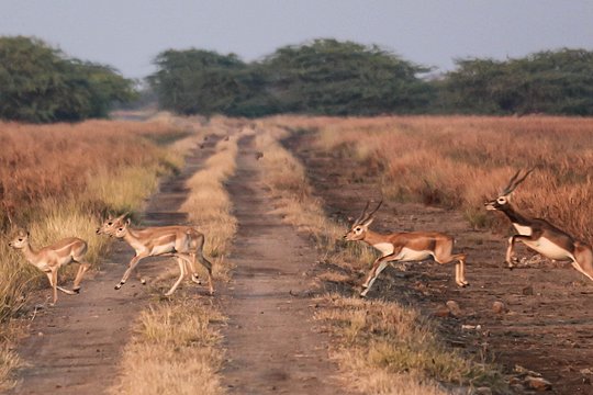 Tour image 5