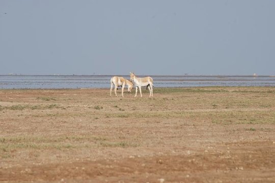Tour image 1
