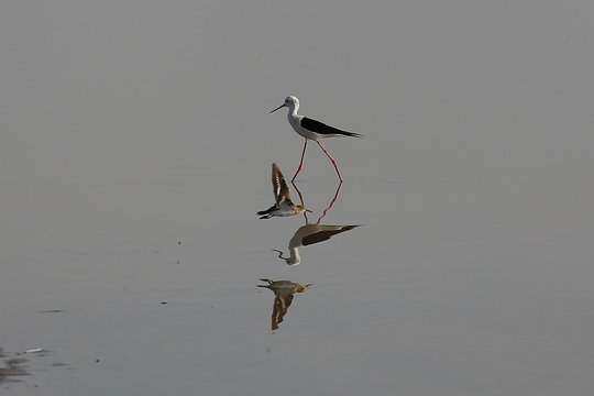 Tour image 2