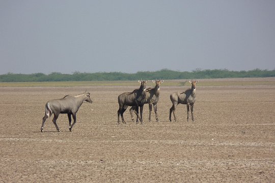 Tour image 10