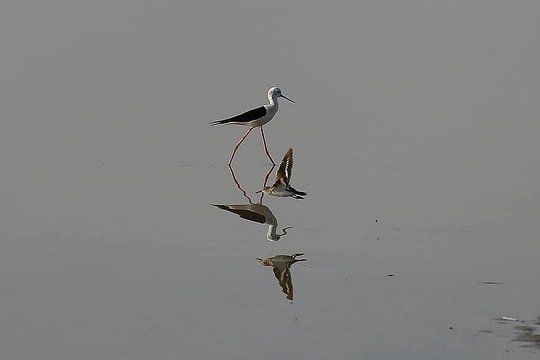Tour image 4