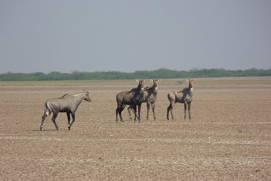 Tour image 7